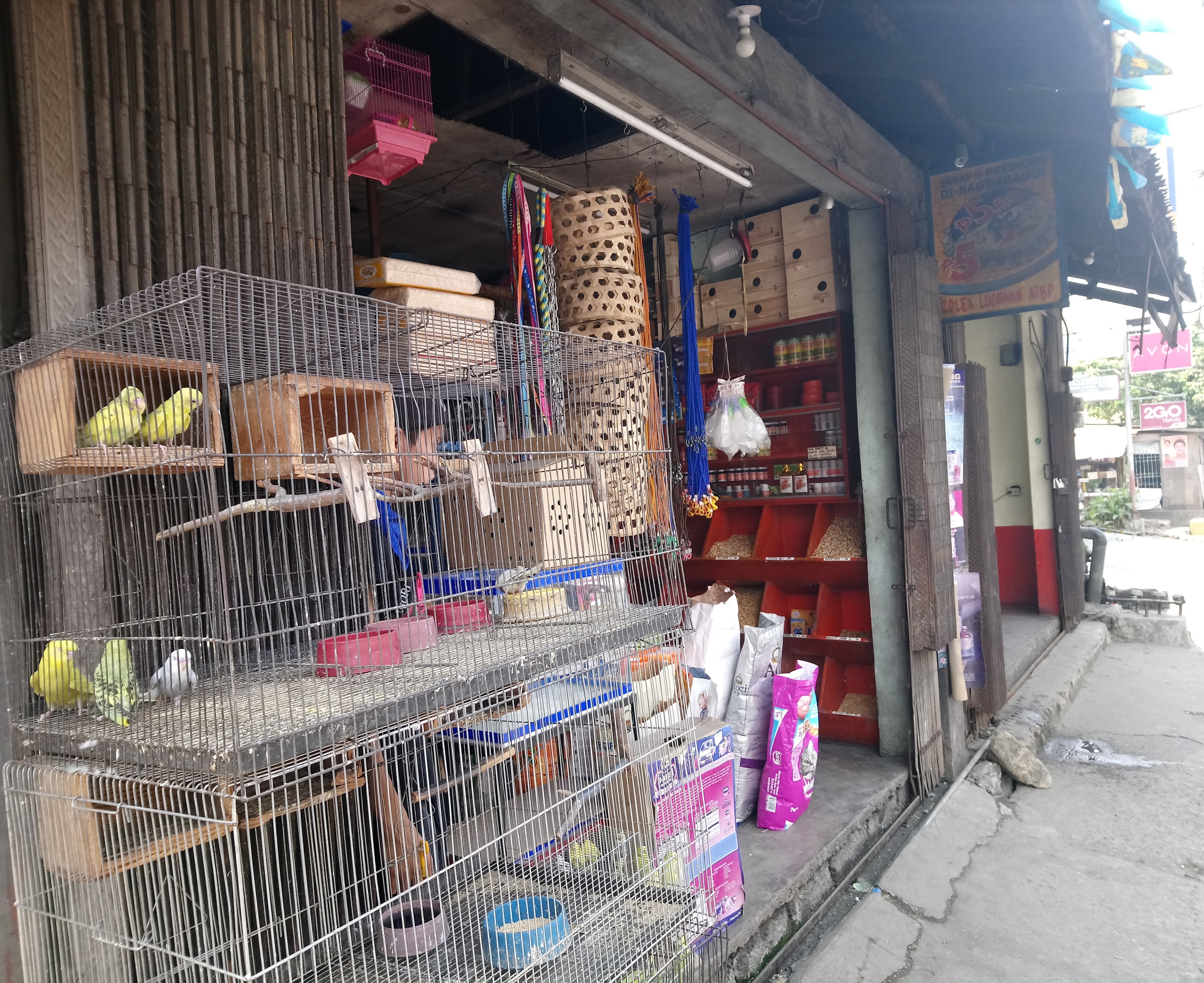 pet-store